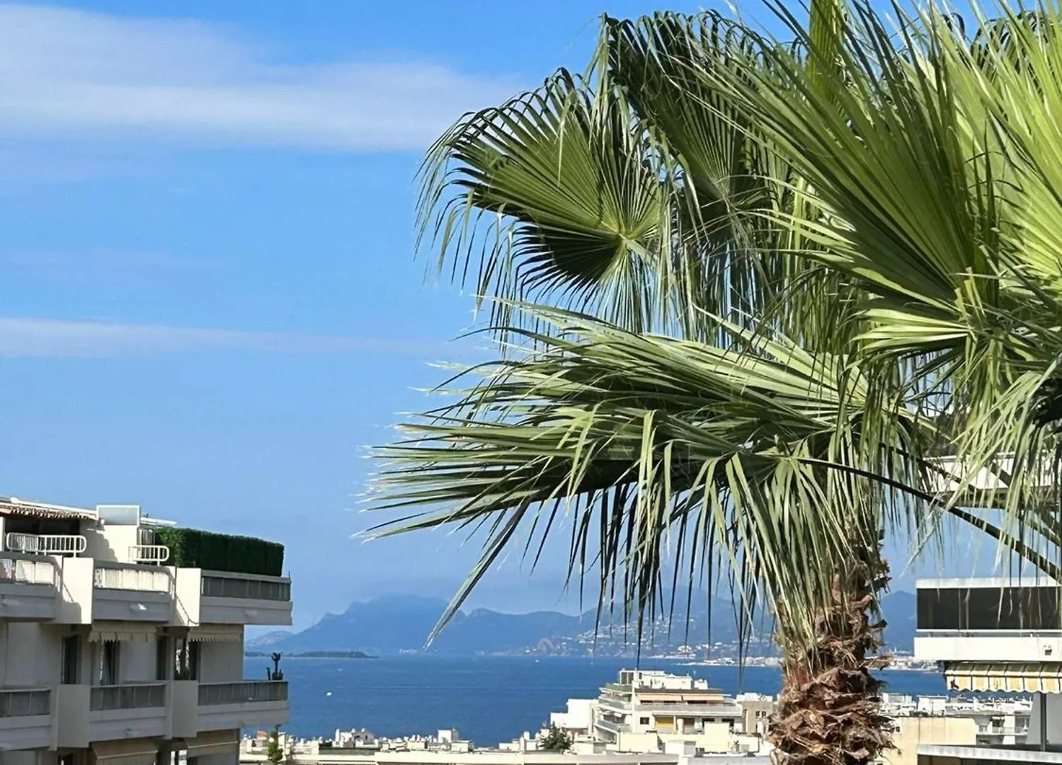 Apartment Canelle- Beau 2P,Tout Confort, Vue Mer, Piscine Antibes